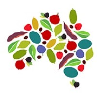 Australian Native Food & Botanicals logo - Similar company to Bushtukka And Botanicals Indigenous Enterprise Co-Operative Limited (Bbiec)