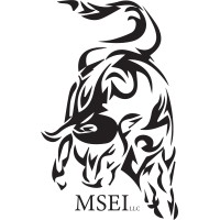 Mshannon Executive Insights Llc