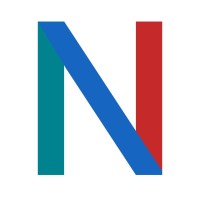 Netmaiesta logo - Similar company to Zzappit (Pvt) Ltd