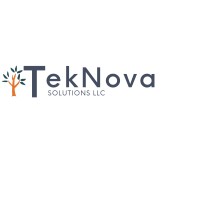 TekNova Solutions logo - Similar company to Vr Tech Info Inc.
