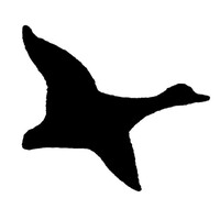 South Bay Auctions Inc