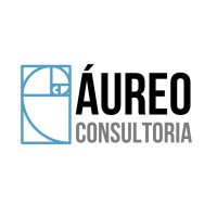 Aureo Consultoria logo - Similar company to Aureo.Io