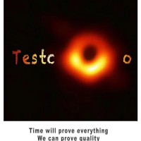 Testcoo Inspection Service Co.,Ltd/Ningbo Jialian Network Co.,Ltd logo - Similar company to Testcoo