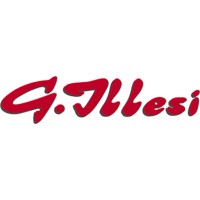 Ferramenta Illesi logo - Similar company to Ciw Srl