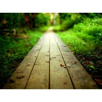 Ghengis Leadership Strategies logo - Similar company to Funnel Storms, Llc