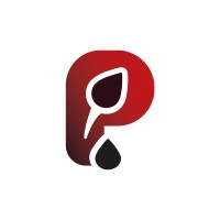 Petro Consulting logo - Similar company to Centro De Formação Ghf