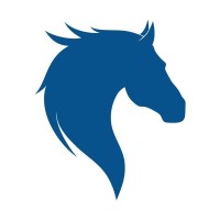 Top Producer logo - Similar company to Arcsa Capital Investments