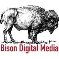Bison Digital Media logo - Similar company to Shopmkc