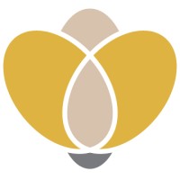 Centerlight Media