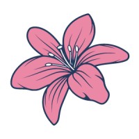 Pink Lily Accounting Solutions logo - Similar company to Directive Finance Ltd