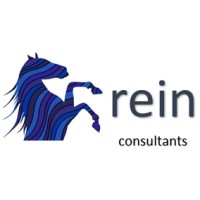 Rein Consulting logo - Similar company to Apcict/Escap