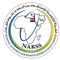 NARSS logo - Similar company to Spin Tech
