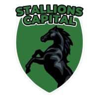 Stallions Capital logo - Similar company to Vitality