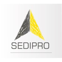 SEDIPRO UPN logo - Similar company to Sección De Dirección De Proyectos  - Sedipro Ue