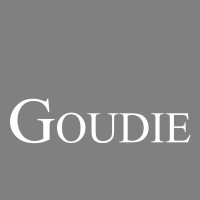 GOUDIE logo - Similar company to Spatial Concept