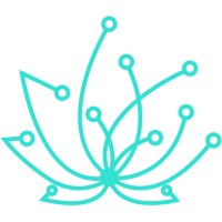 RadiSoft logo - Similar company to Ainera