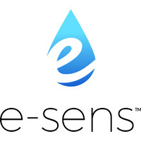 e-SENS, Inc. logo - Similar company to Lesliee Coder Consulting