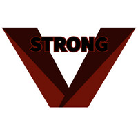 V-strong Electronics 威斯创电子 logo - Similar company to Vedo Systems