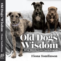 Fiona Tomlinson Photography Ltd logo - Similar company to The Damson Collection