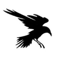 Nyedis logo - Similar company to Credentive Security