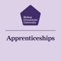 Apprenticeships at BGU logo - Similar company to Linchigher