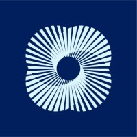 USIBC - US India Business Council logo - Similar company to Amcham India