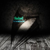 ShadowZ logo - Similar company to Les Mutins De Pangée