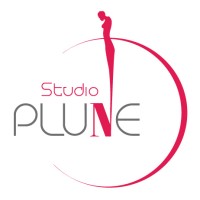 STUDIO PLUNE logo - Similar company to Wiklog