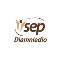 isep diamniadio logo - Similar company to Isep Diamniadio Officiel