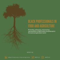 Black Professionals in Food and Agriculture logo - Similar company to Ochaude