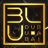 BLU DUBAI logo - Similar company to Sky2.0Dubai