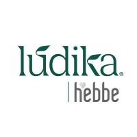 Lúdika logo - Similar company to Alnubio, Sapi De C.V.