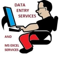 Microsoft Excel Data Entry logo - Similar company to Offshore Online Data Entry