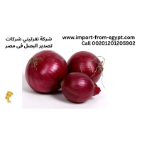Nefartete export: Egyptian Onion Exporter Company logo - Similar company to T-Trade For Export