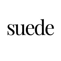 suede logo - Similar company to Suede