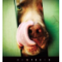 CJ Media logo - Similar company to Pedlar