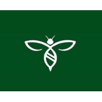 Hornet Originals