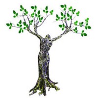 Siam Solutions logo - Similar company to Mekha Technology Co., Ltd.
