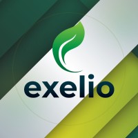 Exelio Group logo - Similar company to Exelio Audit