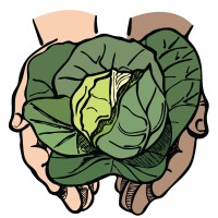 Lettuce Harvest Foundation