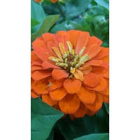 Environmental Media Broadcasting