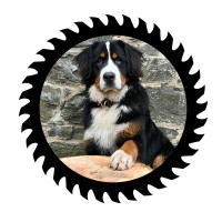 Burty's Timber Ltd logo - Similar company to Ramsay Timber Limited