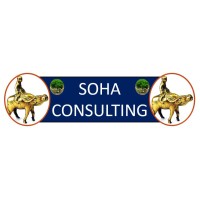SOHA CONSULTING logo - Similar company to Bright Services Solutions Ltd