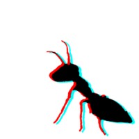 Nick Carroll logo - Similar company to Nextbillion.Org