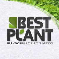 Bestplant logo - Similar company to Vivero