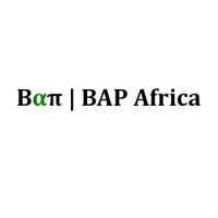 BAP Africa logo - Similar company to Dtt Technologies Africa Limited