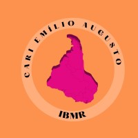 Centro Acadêmico De Relações Internacionais Emílio Augusto - Ibmr