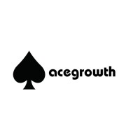 Ace Growth logo - Similar company to Ace | Growth