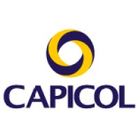 CAPICOL SAS logo - Similar company to Inkoms