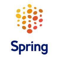 Spring GDS Nederland logo - Similar company to Spring Gds - Global